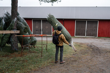 Man carrying netted Christmas tree near red barn in outdoor setting. Concept of holiday preparation