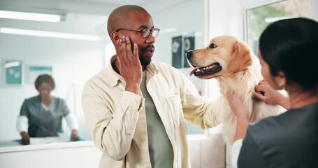 Dog, owner and consultation with doctor at veterinary for appointment, ear infection and healthcare visit. Professional, person and pet patient in clinic for medical diagnosis, animal care or checkup