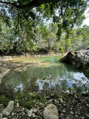 Fototapeta premium Serene waters flow through a forested area, surrounded by vibrant trees and rocks. Ideal for nature lovers and tranquil settings.