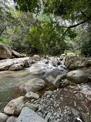 A tranquil stream flows over rocks in a vibrant forest, showcasing nature's beauty. Ideal for wellness, relaxation, and outdoor adventure themes.