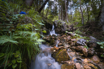 Cascades river in the incredible wild and pure nature of Triglav National Park in Slovenia.
