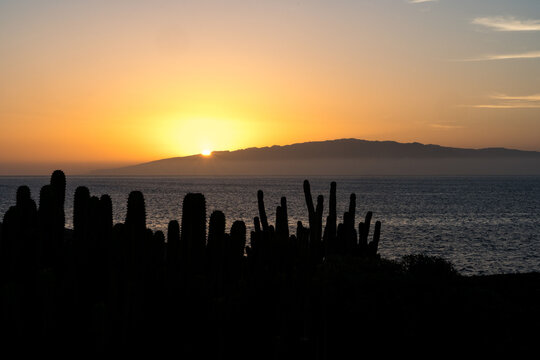 Sunset over Gomera, Canary islands, with cactus on foreground and the island in the background