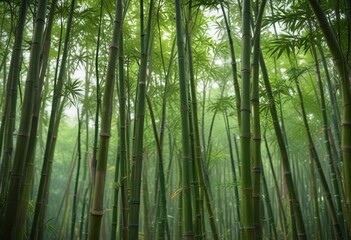 Fototapeta premium Bamboo stalks growing in different directions, creating a sense of movement and energy , grass, growth