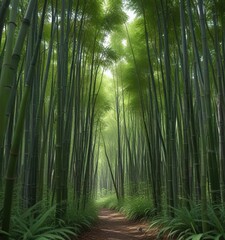 Obraz premium densely packed bamboo forest with straight growing shoots, densely packed, foliage, dense vegetation
