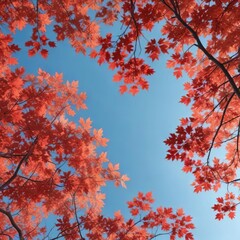 Red maple leaves scattered on a clear light blue sky with tree branches , nature scenery, fall landscape