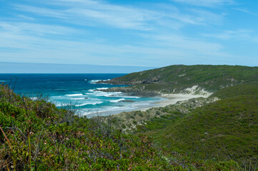 Fototapeta premium Wild greenery on the coastline of Western Australia, featuring dense shrubs, rolling hills, and a bright blue sky and ocean. A pristine landscape perfect for nature and wildlife enthusiasts.