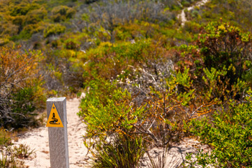 A wooden post with a yellow warning sign depicting a snake stands on a sandy trail, surrounded by...