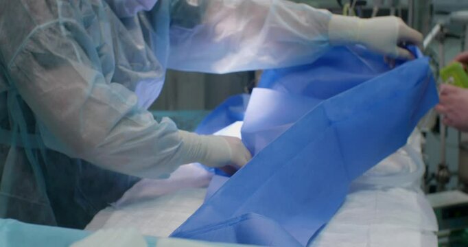 A surgeon covers a dog with a surgical drape. A veterinarian carefully places a blue surgical drape over a dog lying on an operating table, ensuring that it is sterile for the upcoming procedure.
