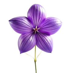 green leaf on a white background