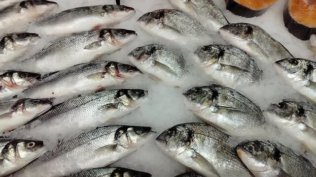 Fresh sea fish on ice in the supermarket. Fish products in the diet.