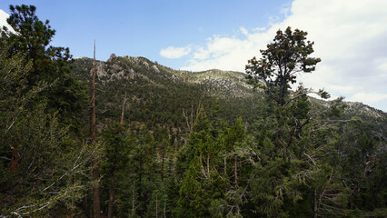 Fototapeta premium Lee Canyon Summer Home Area in Nevada