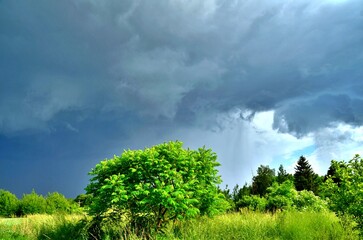 Obraz premium field and blue storm sky