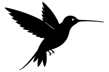 hummingbird silhouette vector illustration