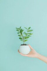 Growing green plant care tips home environment lifestyle content indoor space close-up view sustainable living