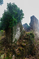 A ruined stone building overgrown with vegetation, shrouded in mist and mystery
