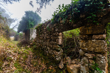 Fototapeta premium A mysterious path leading through a dense, overgrown forest, with moss-covered stone structures and a hint of fog in the distance