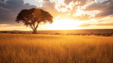 Fototapeta premium Silhouetted African Savanna Landscape at Sunset