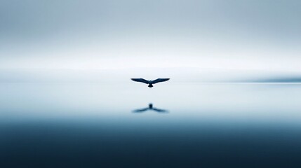 Naklejka premium Soaring Bird Above Calm Water