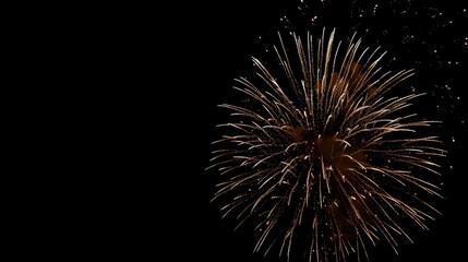 Obraz premium Fireworks background holidays concept.
