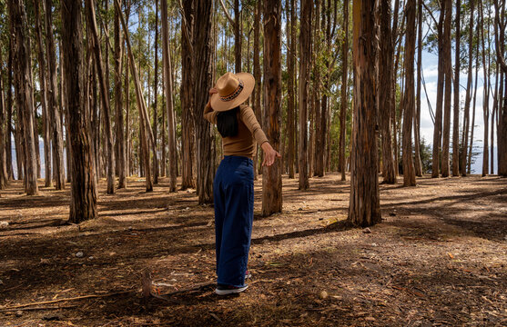 Latin tourist enjoying the Qenqo forest in Cusco