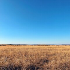 Exploring vast grasslands a nature landscape in open plains under clear blue sky