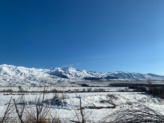 snow covered mountains