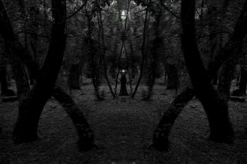 Witch in the dark woods, Atmospheric Black Metal forest, spooky forest, horror mood
