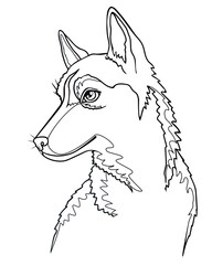 Husky puppy, small dog portrait - vector linear picture for coloring book, logo or pictogram. Young Husky dog. Outline	