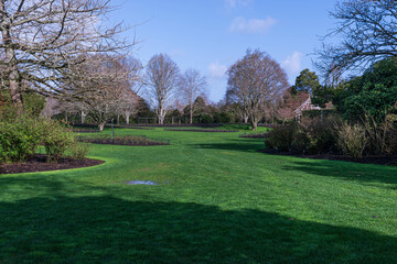 Obraz premium Residential Landscape with Winding Pathway and Flourishing Greenery