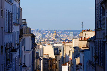The parisian buildings and Saint Louis cathedral in the background, Paris, France.