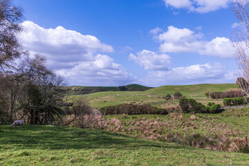 Countryside Landscape with Rolling Hills and Vibrant Greenery
