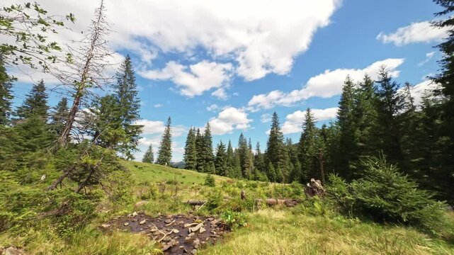 Clouds over beautiful clearing near forest. Svidovets ridge. Carpathians. Ukraine.
