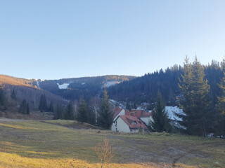 Beautiful Carpathian mountains, coniferous trees and deciduous trees, spruce trees