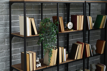Bookshelf with plant near grey brick wall