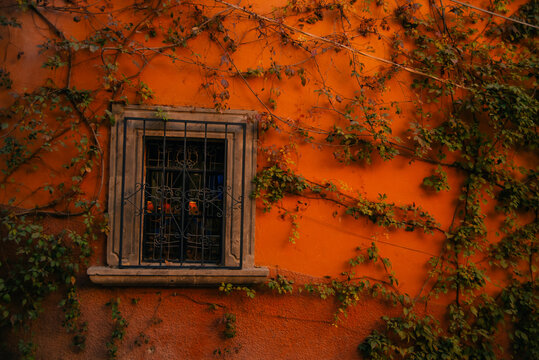 A beautifull streen in the middle of a mexican Town named San Miguel Allende, mexico - 2 sep 2024