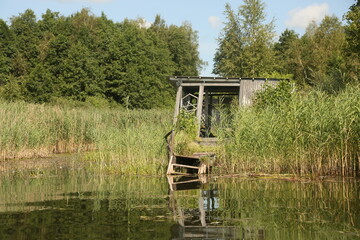 An abandoned shed and a dock on the shore of a lake, surrounded by dense reeds