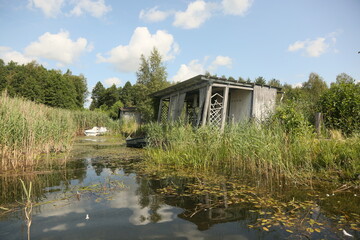 An abandoned shed and a dock on the shore of a lake, surrounded by dense reeds