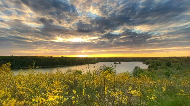 Beautiful flowers, river and clouds at sunset. Ukraine.