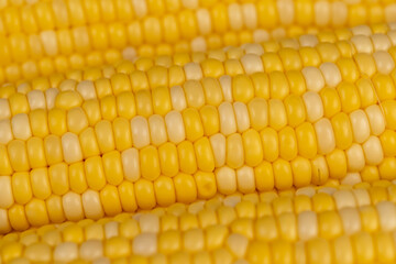 peeled corn cob with yellow and white seeds of different sizes and shades