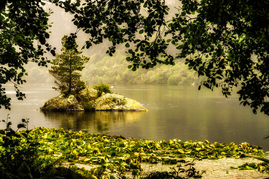 Standing under an umbrella in the rain and mist at Lake Whakamaru, Dunhams point reserve