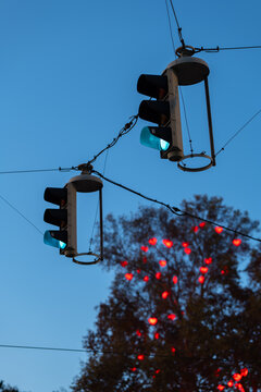 Green Trafik Lights and Christmas Decoration in Trees in Vienna