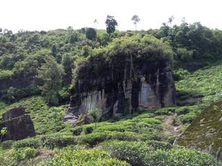 waterfall in the mountains