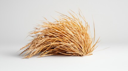 Isolated tumbleweed, crisp and clear, positioned in center on a plain white background, soft shadows for realistic touch, optimized for ads