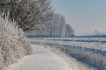 Winter landscape showcasing a snow-covered pathway alongside a frozen river under a clear blue sky