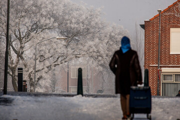 Winter stroll through a frosty street with a woman pulling a suitcase beneath snow-covered trees