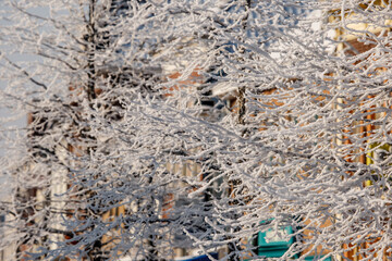 Fototapeta premium Snow-covered branches create a winter wonderland in a city street with buildings in the background during a clear day