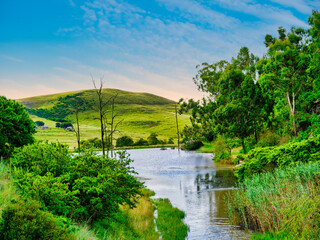 Fototapeta premium Lush green foliage, trees, and hills surrounding a lake in Wakkerstroom, Mpumalanga, South Africa