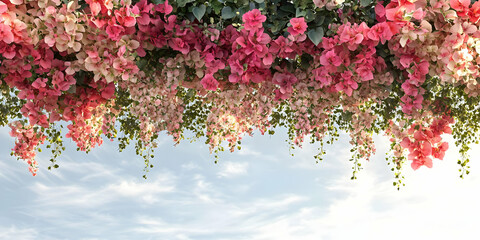 Stunning 3D Render of Pink Bougainvillea Flower Background
