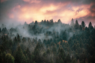 Misty mountain landscape