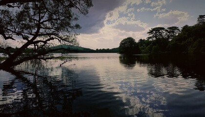 Birds sing joyfully, heralding a new beginning.  